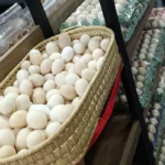 Plateau de 30 Oeufs Beldi